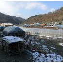 소전2리 이미지