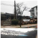 사또치킨 본점 이미지