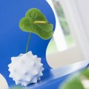 동양마스터태권도장 이미지