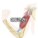 새로워 GYM 이미지