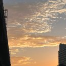 위더스(with us) 이미지