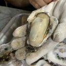 석화농원 이미지