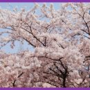 휴대폰마트 이미지