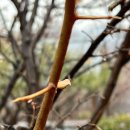 한솔공원 이미지