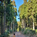 신금호당구장 이미지