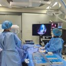 충청동물병원 이미지