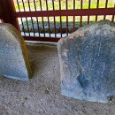 영천 청제 이미지