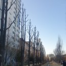 김쌤헤어 - 전주시 덕진구 기지로 91 | 김쌤헤어