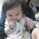 수유파랑새약국 | 생후 296일~302일 만9개월 엄마를 따라해요