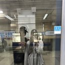 올래PC방 이미지