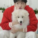 스카이가방