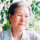 고운안경