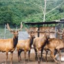 신곡목장 이미지