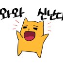 보건정문약국 네이버블로그