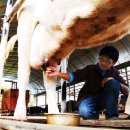 즐거운목장 이미지