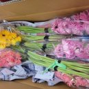 우리공판장 이미지