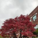 서울대학교박물관 이미지