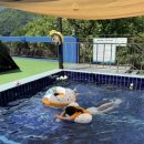 마운틴하이 이미지