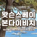 (주)워프게이트 | 갭파크 | 본다이비치 아이스버그 수영장 | 겨울 시드니 반나절 코스 추천 | 시드니 페리 탑승 방법 및 후기
