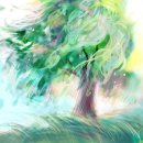 바람이 머무는 집 이미지