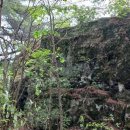 장춘당약국 이미지