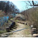 산속농장 이미지