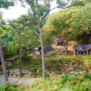 용인자연휴양림 광장 이미지