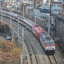 H1157 이미지