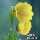 노자의 지혜 이미지