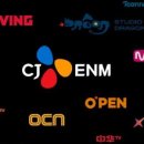 씨제이이엔엠 이미지