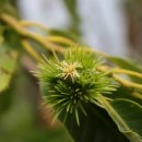 오봉리농장 이미지