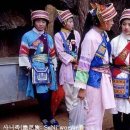 석림4로 이미지