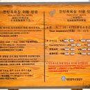 유성온천개발