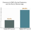 EMF와 5G가 유산과 불임을 일으키는 방법 이미지