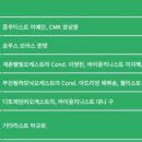 로망스Ⅱ 이미지