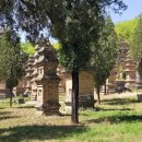 소림약국 이미지