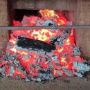 숲을 그리다 이미지