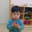 하랑악기 이미지