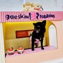 의류수선창업반 | 거제애견수제간식&amp;애견용품 견식도락에서 강아지옷 구매후기