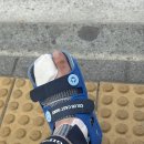 김민종농장 | 8月