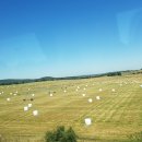 주강농장 이미지