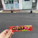 혜원제과점 | 청춘은 바로 지금!(9.1~9.15)