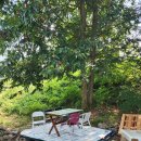 공인중개사사무소담장 이미지