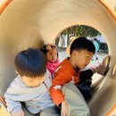 무양공원 놀이터(무양) 이미지