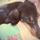 누리아미 이미지