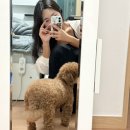 속옷여행 | 덴젤속옷 덴젤브라 데일리브라후기 여행에서도 하루종일 편한 리프팅브라 추천