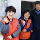 스피드도배