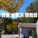 영월 솔향기 캠핑장 네이버블로그
