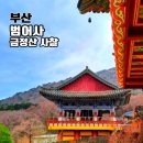 당정역 2번 출구 앞 버스정류소 | 금정산 범어사 홍매화가 피어나는 부산 사찰 방문 후기