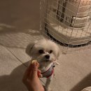 캠핑월드 이미지